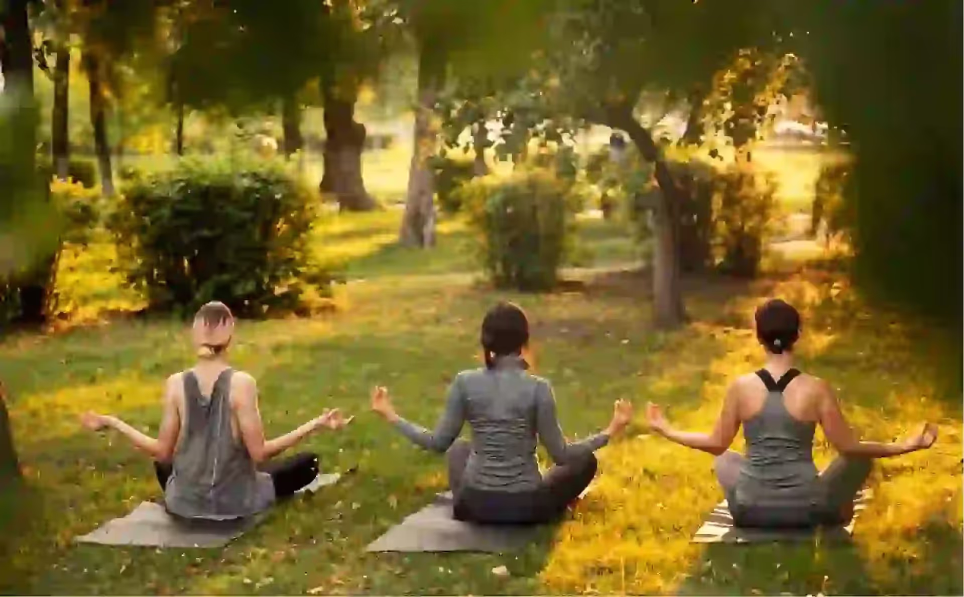 Exploring Serenity: The Ultimate Guide to Luxury Yoga Retreats