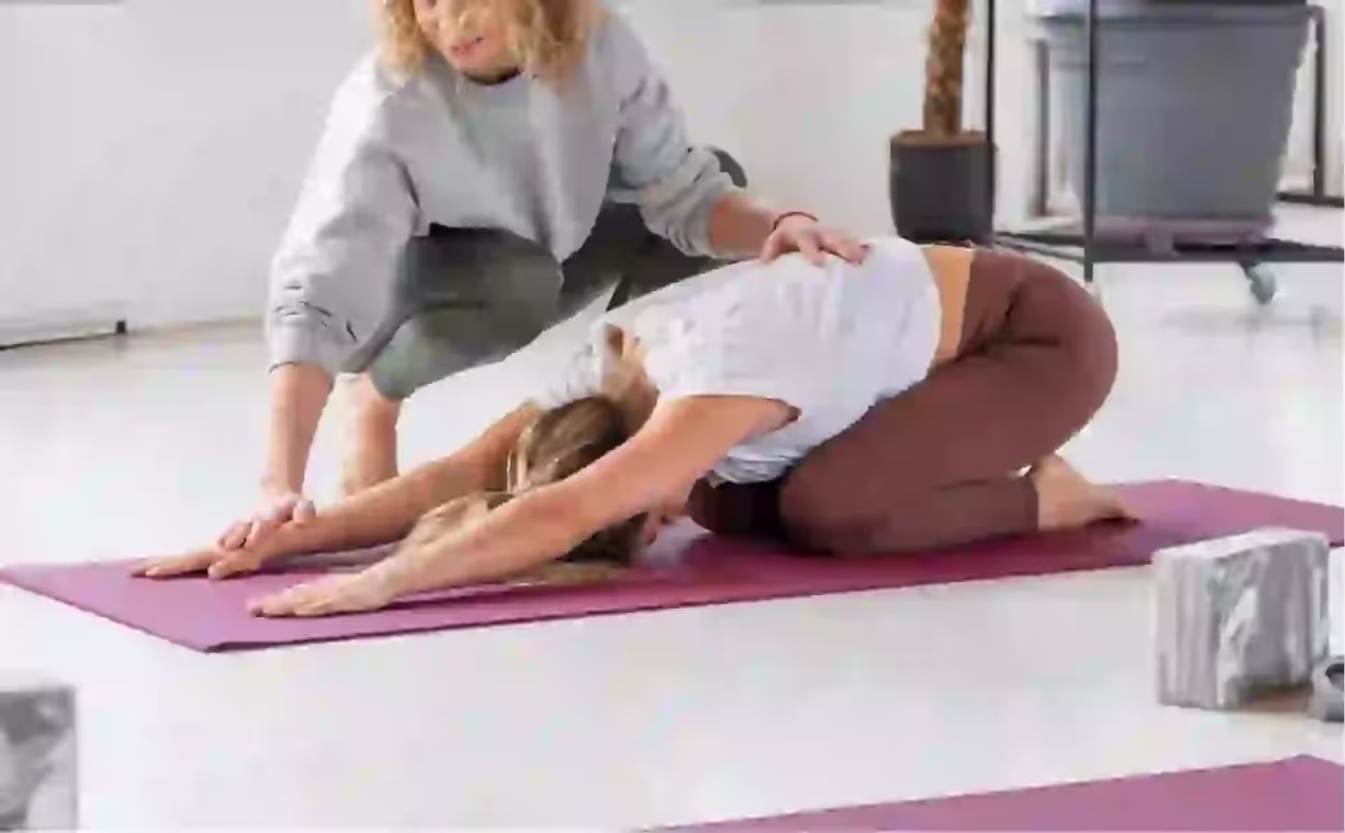 Path to Enlightenment: Your Complete Guide to Yoga Teacher Training Certification