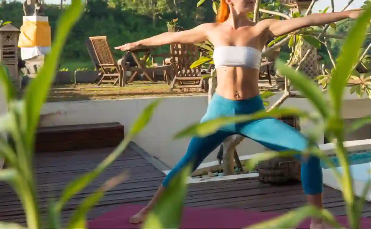 Program Types Explained